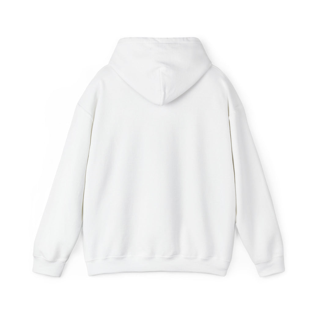 Rome Street Map Hoodie, Circle Map, White, Italy Travel Gift