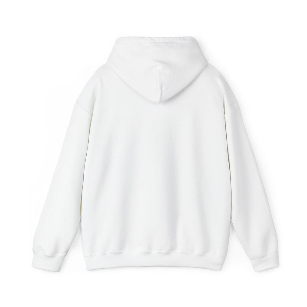 San Gimignano square street map printed on the white hoodie, studio view